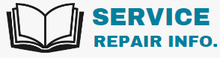 Manual labs (Service & Repair Info.)