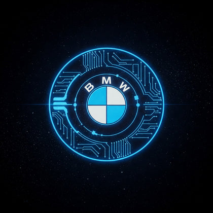 BMW MANUAL