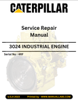 3024 (CAT) CATERPILLAR INDUSTRIAL ENGINE SERVICE REPAIR MANUAL 4RF - PDF FILE DOWNLOAD