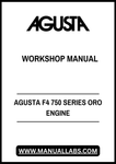 AGUSTA F4 750 SERIES ORO ENGINE WORKSHOP MANUAL - PDF FILE