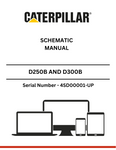 Discover essential cat supplements for D250B and D300B models. Access the modification schematic manual for S/N 4SD00001-UP to enhance your equipment's performance.