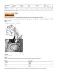 Volvo Wheel Loader Electrical and Hydraulic Schematic Diagrams Manual