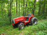 Download PDF for Massey Ferguson MF 1230 COMPACT TRACTOR Parts Catalog Manual MP5005-1637268