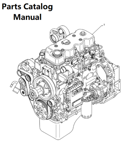 Download Parts Catalog Manual - New Holland B001 Engine F4DFE414B PN/5801987057 - PDF File 