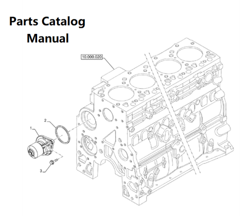 Download Parts Catalog Manual - New Holland B003 Engine F4DFE613P PN/5801746074-118KW - PDF File 