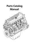 Download Parts Catalog Manual - New Holland B004 Engine F3JFE613C PN/5802335586 - PDF File 