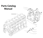Parts Catalog Manual - New Holland J602 Engine F4GE9684R 504360958-84159125 - PDF Book (Delivery) 