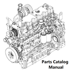 Download Parts Catalog Manual - New Holland V002 Engine F4DGE613V PN/5802492610-129KW - PDF File 