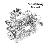 Download Parts Catalog Manual - New Holland V009 Engine F4DGE613C PN/5802764098-191KW - PDF File 